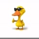 🦆 pato 🦆🦆🦆🦆🦆