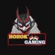 HOHOK GAMING