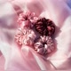 Scrunchies.bycece