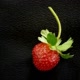 strowberrrrryyyy