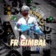 FR GIMBAL