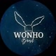 Wonho Brasil