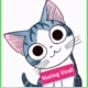 Kucing Virall