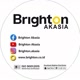 brighton akasia
