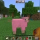 Pink Sheep