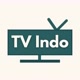 TV Indo