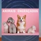 ANIMAIS ENGRAÇADOS 92