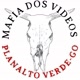 Máfia dos vídeos 💥🚀🔝