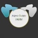 Aqwa Guppy