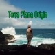 TERRA PLANA ORIGIN