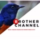 Brother Channel183