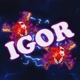 IGOR GAMER221