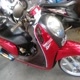 Scoopy Maroon