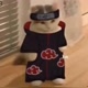 Gato da Akatsuki672