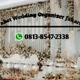 Paket Wedding Jakarta