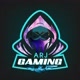 ARJ GAMING265