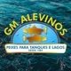 GM Alevinos Oficial
