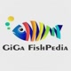 Giga FishPedia