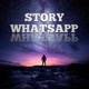 Story_Whatsapp16