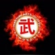 martial_art