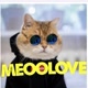 Meoo❤️