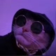 GATO DO DRIP
