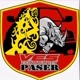 VES Paser