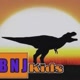BNJ Kids