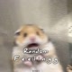 Random_feelingg