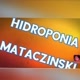 hidroponia mataczinski