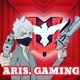 ☞ARIS.GAMING☜
