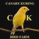 Canary Kuring
