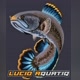 lucioaquatic