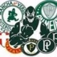 família palmeiras.