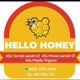 Hello Honey （Madu Jenis Trigona）
