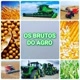 brutos_do_agro.br