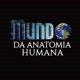 mundo_da_anatomia