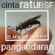 Cinta Ratu Bsf Pangandar