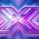 xfactorindo
