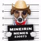 mineirin oficial