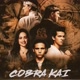 séries cobra kai