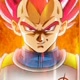 VegetaZIN SHIN