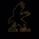 8C.BLACK_CROWS