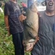 ASAL JALA IKAN
