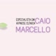 Caio Marcello ✔️