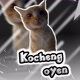Kocheng  oyen'