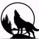Black Wolf  🐺