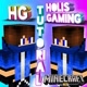 HG HOLIS GAMING MINECRAFT