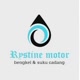 Rystine Motor
