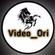 Video_Ori